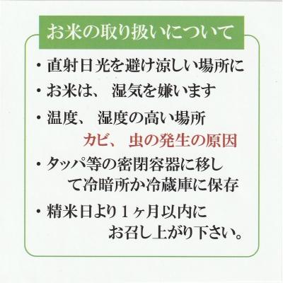 ふるさと納税 米子市 令和7年度 きぬむすめ10kg(精白) |  | 03