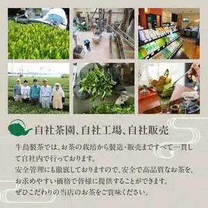 【ギフト対応可能】八女極上深蒸し茶セット 028-008