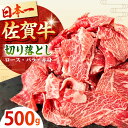 【ふるさと納税】佐賀牛 切り落とし 500g【田中畜産牛肉店】 [HBH128]