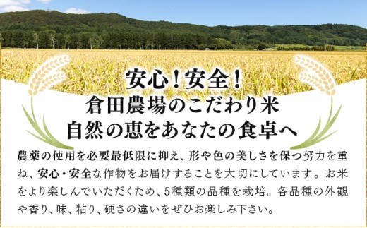 令和7年産 北海道岩見沢市産 あやひめ玄米5kg ≪沖縄・離島配送不可≫【35029】