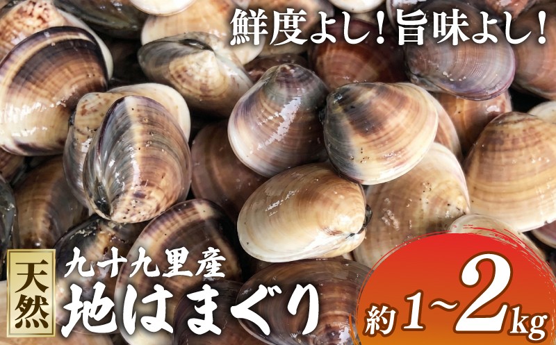 
                  【先行予約】 はまぐり 活 蛤 ぜんな 選べる 1kg ~ 2kg  砂抜き 活はまぐり 貝 九十九里 千葉 千葉県 旭市 旭 飯岡ヤマイチ水産-大納屋- iys
                
