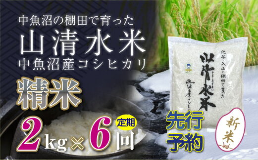 【ふるさと納税】【定期便／全6回】精米2kg　新潟県魚沼産コシヒカリ「山清水米」十日町市 米　お届け：寄附入金確認後、順次発送します。