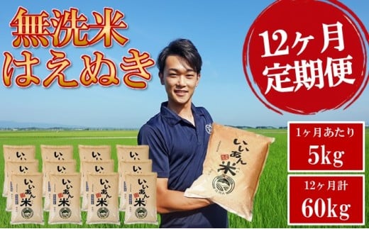 無洗米 定期便 はえぬき 5kg×12回 計60kg 農家直送 いいあん米 山形県庄内産 毎月中旬頃お届け 米 お米 精米 白米 庄内米 いいあん米 ブランド米 東北 酒田市 JGAP認証農場 AG アグレスト　SR0004