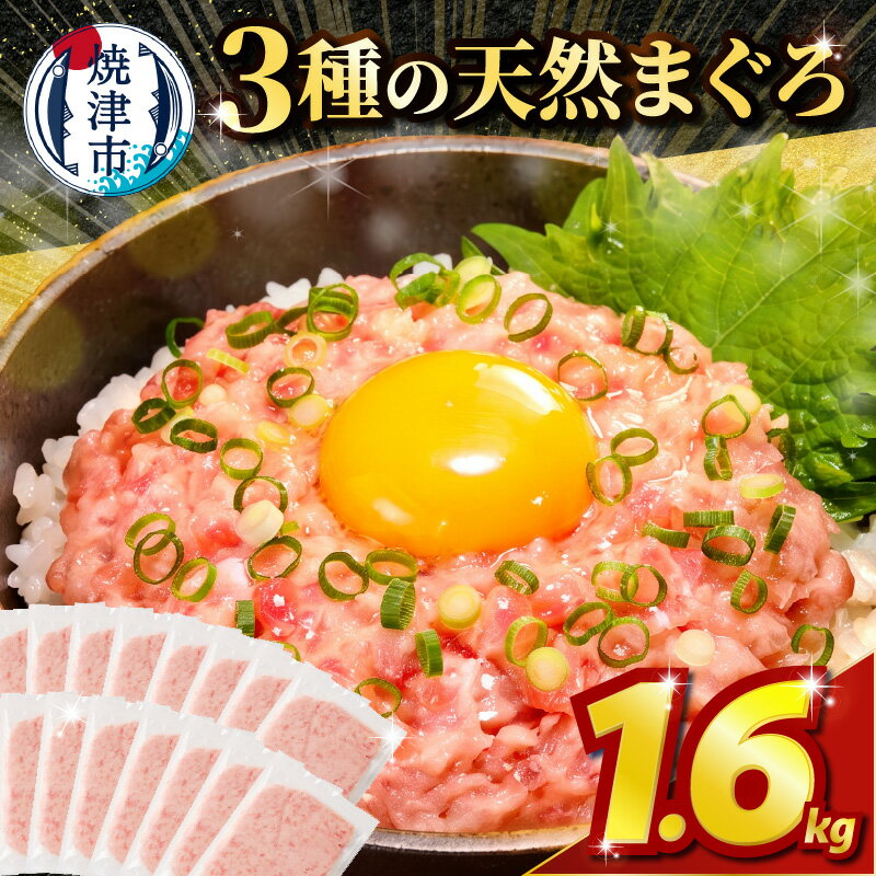 【ふるさと納税】ネギトロ 1.6kg 10,000円 100g×16パック 《 レビューキャンペーン 》 まぐろ 小分け 天然 黄肌鮪 目鉢鮪 ビンチョウ鮪 合計1.6kg 魚 冷凍 焼津 10000円 a10-1289