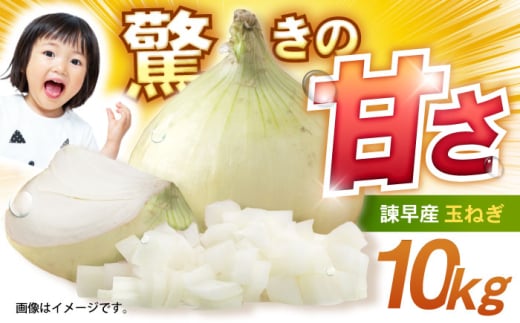 諫早産新玉ねぎ 10kg / 新玉ねぎ 玉ねぎ 玉葱 たまねぎ タマネギ 野菜 やさい 10kg 甘い / 諫早市 / 松尾農園 [AHAY029]