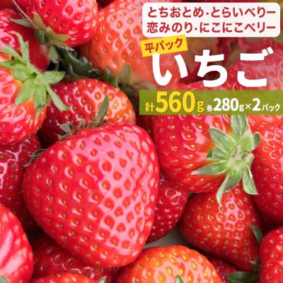 ふるさと納税 石巻市 【2026年1月中旬発送開始】 苺 とちおとめ 恋みのり にこにこベリー とらいべりー 280g×2