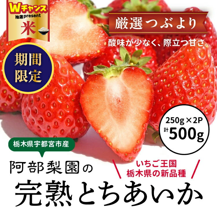 【ふるさと納税】＼9末まで 寄附額改定／阿部梨園の完熟とちあいか（厳選つぶより） ※離島への配送不可 ※2025年12月上旬～2026年5月中旬頃に順次発送予定