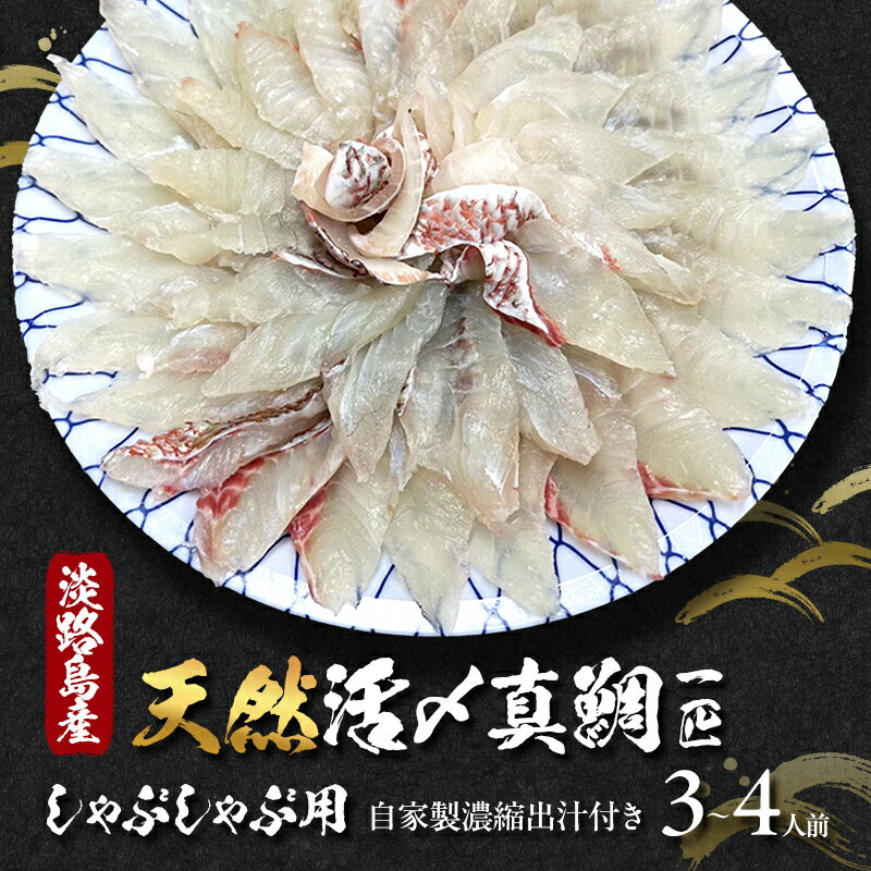【ふるさと納税】淡路島産 天然 活〆 真鯛 一匹 しゃぶしゃぶ用 3～4人前 自家製濃縮出汁付き しゃぶしゃぶ 魚介 魚介類 海鮮 兵庫県 洲本市 淡路島