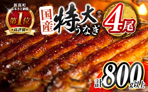 ［2026年2月お届け］特大 うなぎ 鰻楽 国産 蒲焼 4尾 無頭 計800g以上 期間限定 数量限定【C388-800-02】