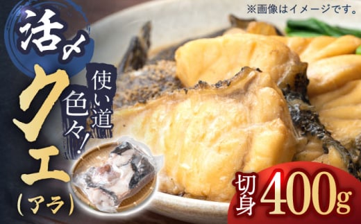 使い道いろいろ！ 活〆 クエ （ アラ ） 切身 《 対馬市 》 【 対馬逸品屋 】 海鮮 高級 鍋 [WAF009]くえ 高級魚 魚 クエ 希少 冷凍 対馬 長崎 九州 つしま 対馬市 海鮮 魚介 唐揚げ からあげ ムニエル 鍋 クエ鍋
