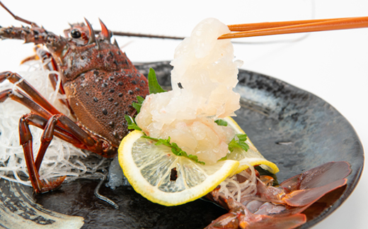 【金曜日発送】漁師直送!千葉県館山産 天然『活』伊勢海老 400g(2～3尾)【配送不可地域：離島・北海道・沖縄県・東北・中国・四国・九州】