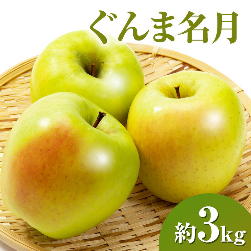 【ふるさと納税】ぐんま名月約3kg 7～9玉 りんご 長野県産　お届け：2025年11月上旬～11月下旬まで