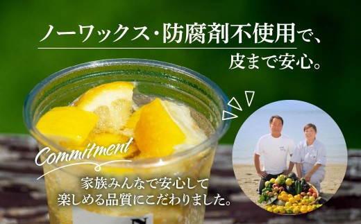 瀬戸内産 カットレモン冷凍　200g×5パック【2026年2月中旬〜順次発送】【冷凍便】数量限定【配送不可地域：離島】