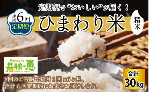 【定期便】【6ヶ月連続お届け】【令和6年産】 福井県産ひまわり米 白米5kg×6回 若狭の恵