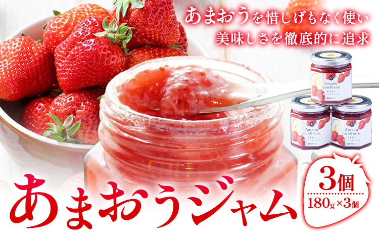 
            あまおうジャム 180g×3個 南国フルーツ株式会社《30日以内に出荷予定(土日祝除く)》福岡県 小竹町 あまおう いちご ジャム 果物 送料無料
          