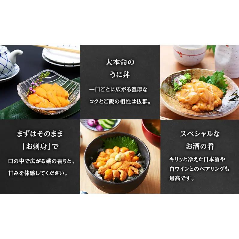 6～7月発送/先行予約 オホーツク枝幸 エゾバフンウニ 塩水パック100g［六三海］濃厚な甘みととろける食感【 うに 雲丹 バフンウニ 塩水うに ミョウバン不使用 期間限定 高級 魚介類 海の幸 北海