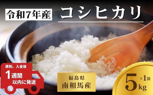 【コシヒカリ】 令和7年産 福島県産  白米 5kg × 1袋 | こしひかり 福島 福島産 精米 南相馬産 令和7年産米 星忠雄商店 星米店 福島産こしひかり 福島産コシヒカリ cv001-aa