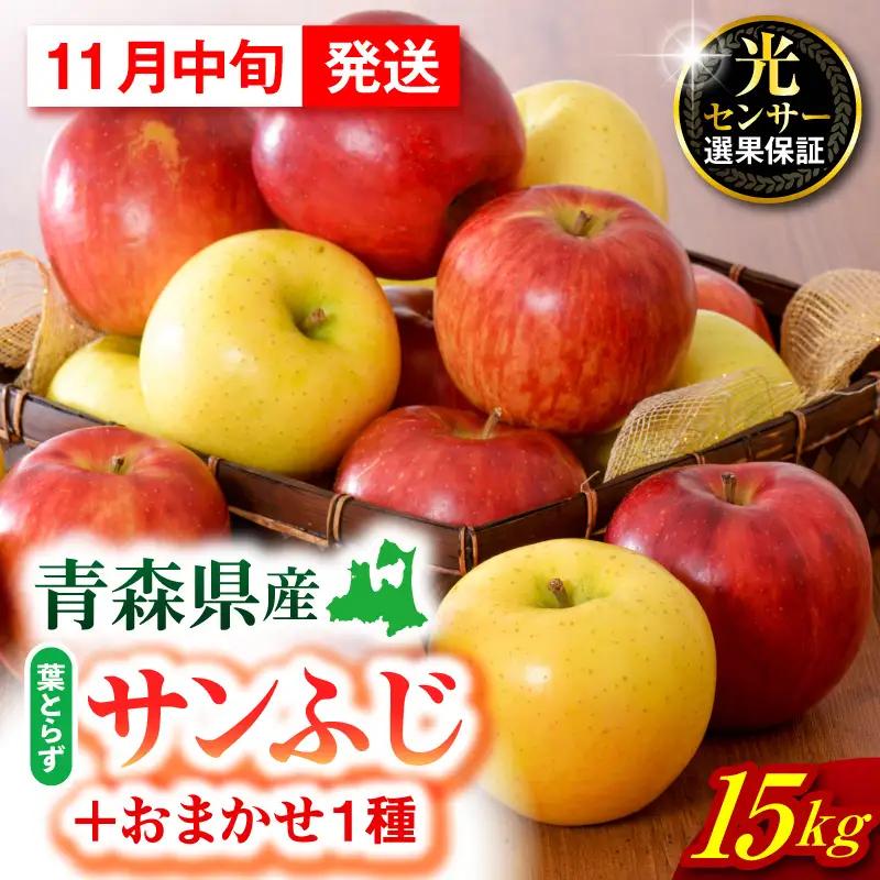【2026年11月中旬発送】 りんご 15kg 詰め合わせ 計2種(葉とらず サンふじ と 他1種)