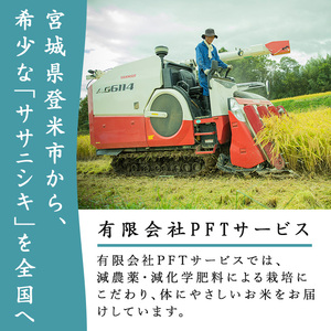 ≪令和7年産 新米≫ 登米市産 ササニシキ 10kg (5kg×2袋) お米 おこめ 米 コメ 白米 ご飯 ごはん おにぎり お弁当【有限会社PFTサービス】tm092