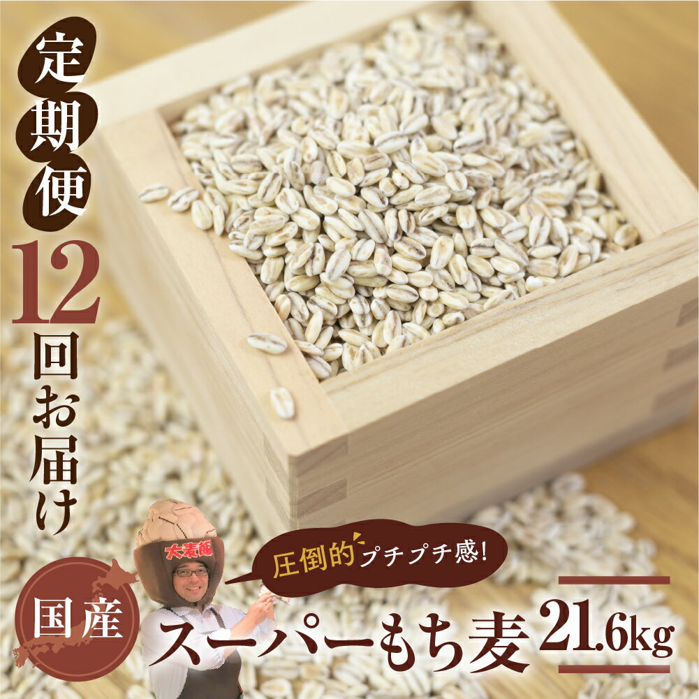 【ふるさと納税】国産スーパー もち麦 12回定期便 （1.8kg × 12）計18kg 月に1回お届け 1年定期便 食物繊維 たっぷり もちむぎ 麦 麦ごはん 麦味噌 麦みそ 混ぜて炊くだけ 雑穀米 健康 定期便 12回 愛知県 豊橋市 47000円