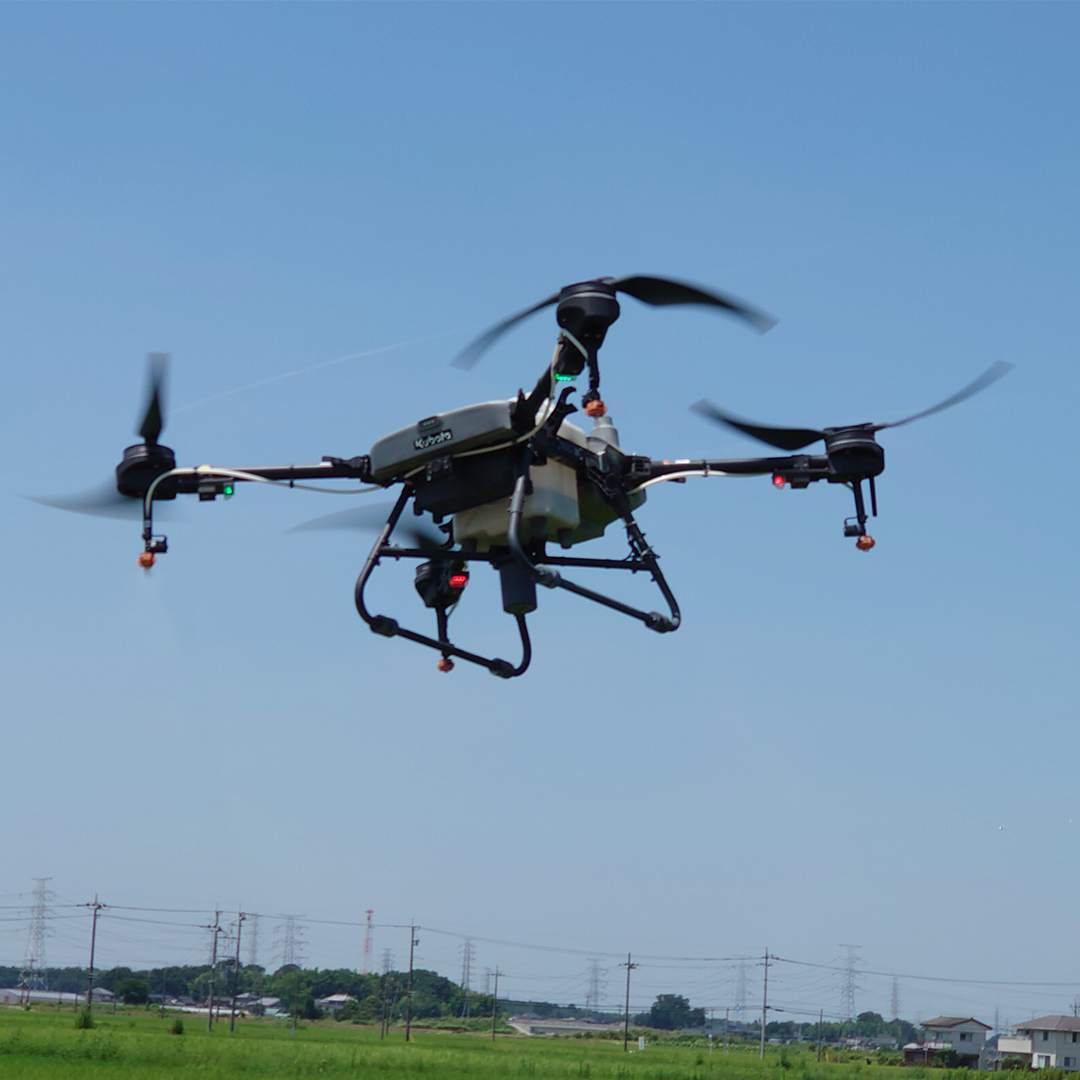 令和7年産 茨城県産 新米 にじのきらめき 10kg 白米 米 こめ コメ 農家 直送 こだわり お米 おこめ 茨城 [BG016ya]