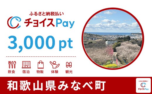 
                  みなべ町チョイスPay 3,000pt【会員限定のお礼の品】
                