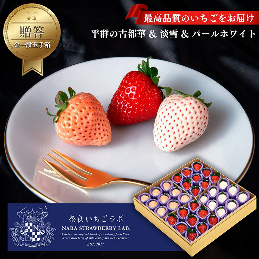 【ふるさと納税】【 贈答 】平群の古都華 & 淡雪 & パールホワイト 金一段玉手箱 計36粒 | フルーツ果物 くだもの いちご 苺 イチゴストロベリー 古都華旬 淡雪 パールホワイト 豪華 セット 奈良県 平群町