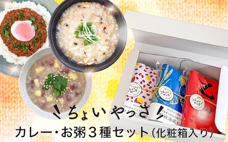 カレー・お粥3種類セット No.327