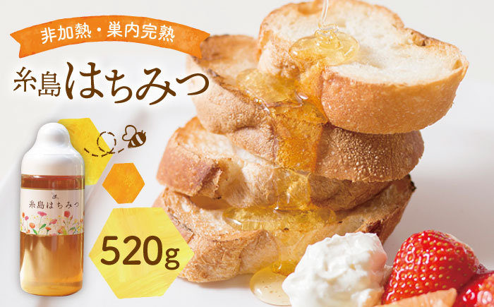 【 限定200本 】糸島 はちみつ 520g 糸島市 / ヴァンベールフーズ [AFJ002]