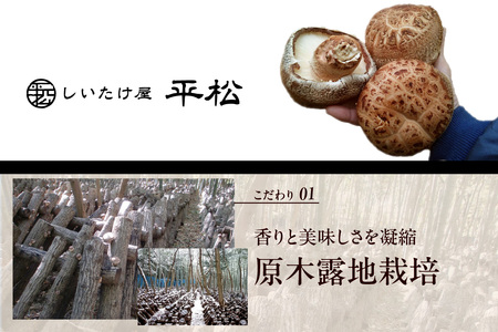 愛知県知多市産原木生椎茸 露地栽培 原木 しいたけ シイタケ どんこ 肉厚 きのこ キノコ 茸 野菜 出汁 だし 料理 調理 和食 中華 洋食 鍋 味噌汁 うどん 煮物 希少 セット 国産 愛知県 知