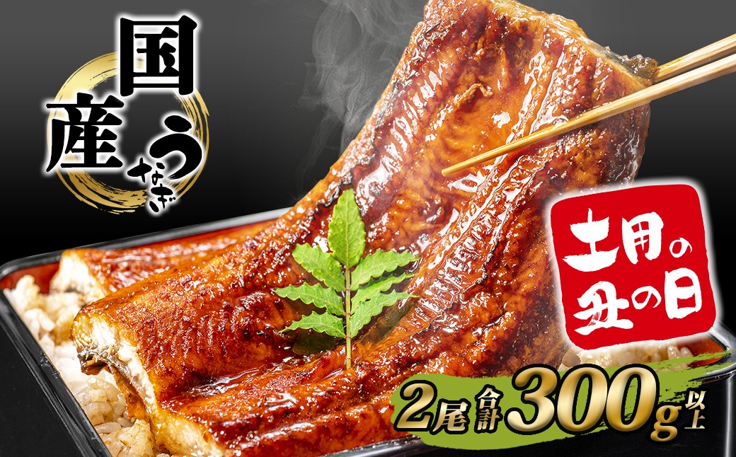 
                  国産 うなぎ 蒲焼き 2尾 計300g以上 鰻 ウナギ うなぎ蒲焼 うなぎ蒲焼き 蒲焼 うな重 ひつまぶし 人気 ランキング 簡易包装 タレ お茶山椒 ギフト 土用の丑の日 丑の日 魚 魚介 K2390
                