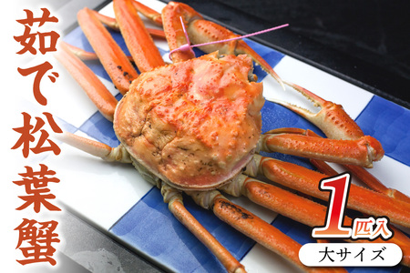 カニ 松葉ガニ／日本海産 ブランド蟹 茹で松葉蟹 【厳選】 大サイズ matubakani900 松葉ガニ ｶﾆ 茹でｶﾆ ボイルｶﾆ 茹で松葉ガニ ｶﾆ ｶﾆ  ｶﾆ タグ付き