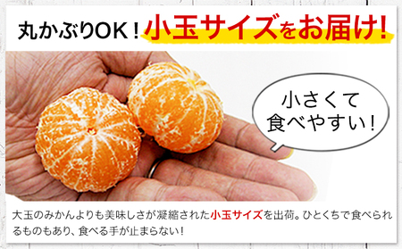 【2ヶ月定期便】訳あり みかん 小玉みかん くまもと小玉みかん 5kg (2.5kg×2箱)   秋 旬 不揃い 傷 ご家庭用 SDGs 《10月-11月出荷》小玉 たっぷり 熊本県 産 S-3Sサイ