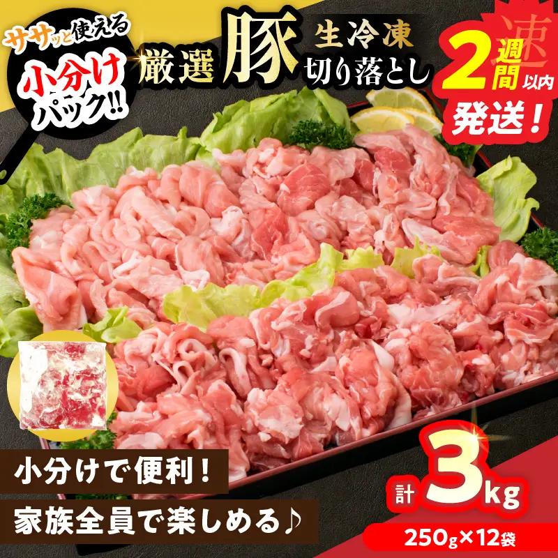 厳選豚切り落とし 日南市産豚肉 計3kg