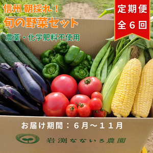 「先行予約」　定期便6回　野菜セット　朝採れ　新鮮　７種　栽培期間中　無農薬　信州　長野県　高原＜出荷時期 :2025年6月1日出荷開始～2025年11月30日出荷終了＞ 【 産地直送 高原野菜 産直 季節の野菜 旬の野菜 農薬 長野県 佐久市 岩渕なないろ農園 】