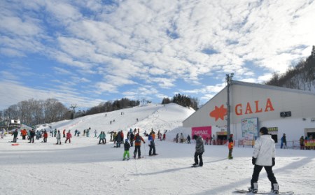 GALA湯沢スキー場【ICリフト券】1枚 窓口に並ばずスムーズにダイレクトイン! 上越新幹線「ガーラ湯沢」駅直結 スキー&スノーボード 子連れでの旅行にも 【レジャー】