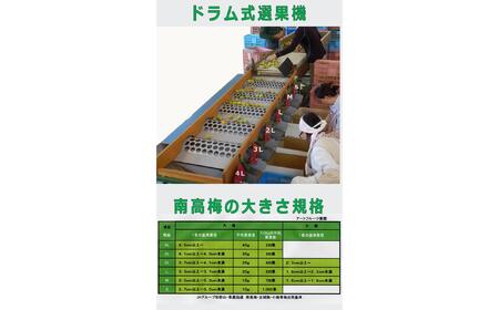 【梅干・梅酒用】大玉4Lサイズ2Kg 熟南高 生梅 赤秀品＜2025年6月上旬～7月7日発送予定＞