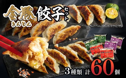 金豚 餃子 セット