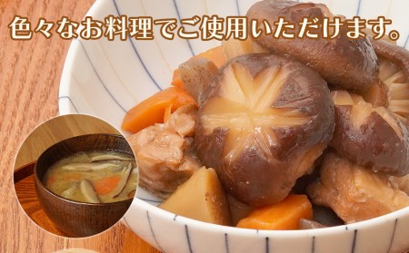 乾燥椎茸 カケ葉 椎茸 100g×5パック 干し椎茸 しいたけ 乾燥しいたけ 原木 大分県産 九州産 中津市 国産