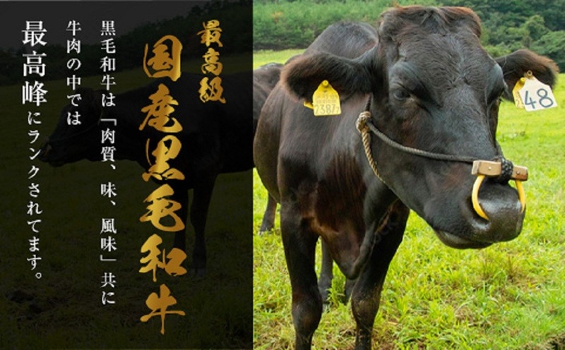 【計1.2キロ】国産黒毛和牛のもつ鍋 醤油味 6人前(3人前×2) もつ鍋一藤