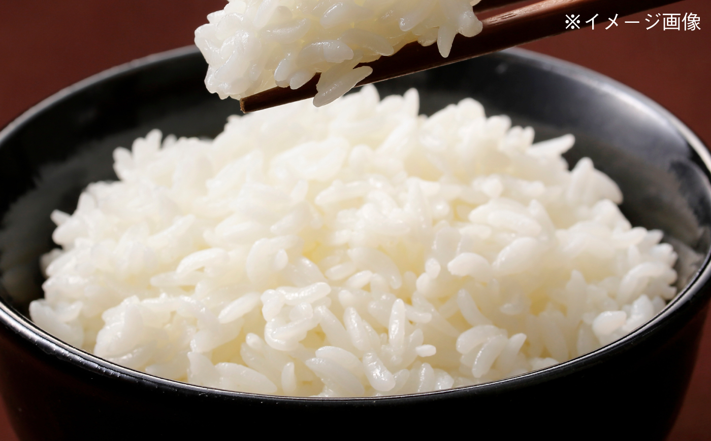 【令和8年産 新米予約】波佐見町産 なつほのか 5kg 米Next 白米 [CH01]