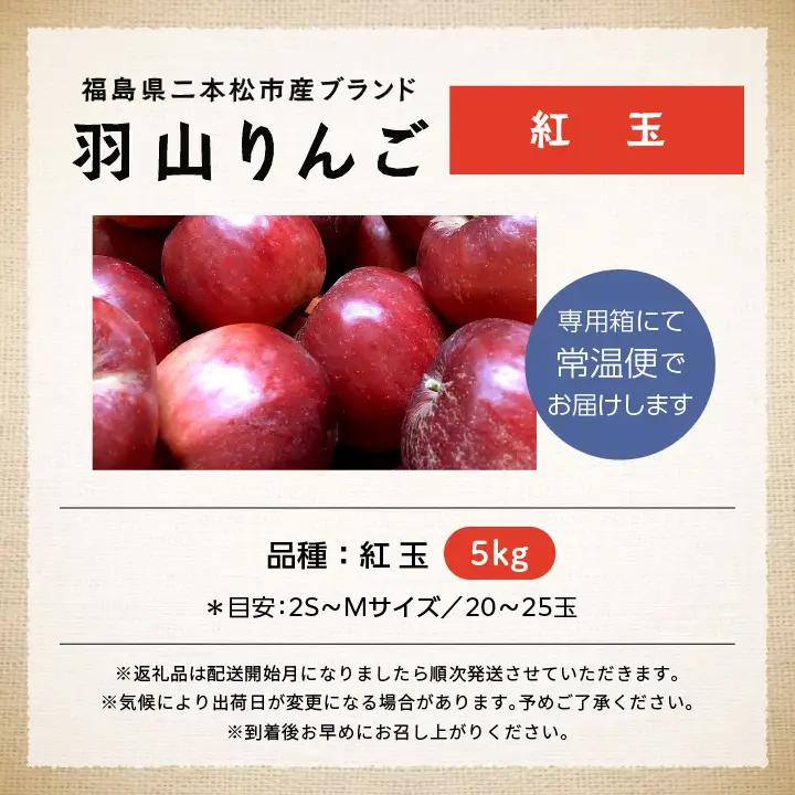 《2026年10月中旬以降順次発送》羽山のりんご 紅玉 5kg【羽山果樹組合】