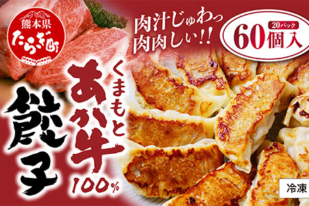 【餃子】 くまもとあか牛100% 餃子 60個 (20個入り×3) 熊本県産 GI認証取得 ぎょうざ ギョウザ お手軽 簡単 079-0610