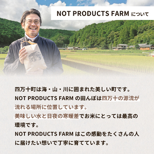 【にこまる】【数量限定】四万十清流育ち!つや甘み際立つ 10kg／ Fnp-06