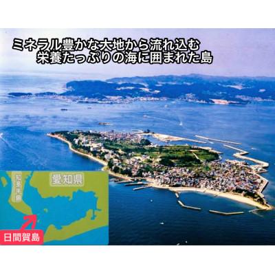 ふるさと納税 南知多町 日間賀島名産・島のり【味付け海苔】6本入り |  | 02