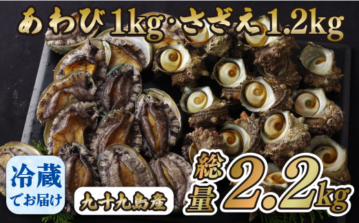 A178a 九十九島あわび(1,000g)･さざえ(1,200g)