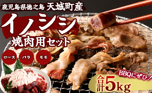 鹿児島 徳之島 天城町 イノシシ 焼肉用 セット5kg ジビエ ロース サイコロ バラ AI-20