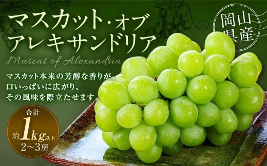 マスカット・オブ・アレキサンドリア 2～3房 （合計1.0kg以上） 【2026年8月下旬～9月下旬 発送予定】 マスカット 葡萄 ぶどう ブドウ 果物 果実 フルーツ 岡山県 奈義町 冷蔵