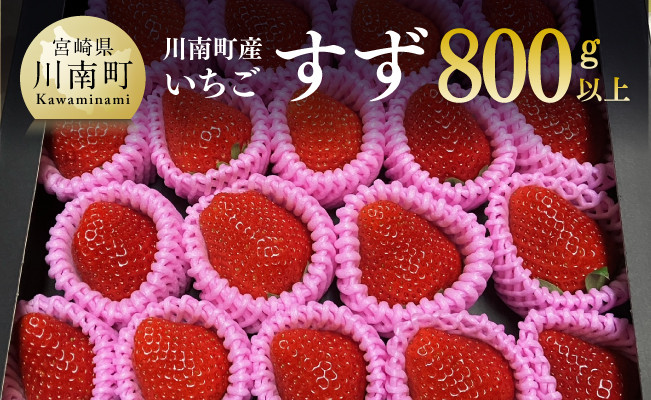 
            【令和８年発送】宮崎県産いちご（川南町産）　「すず」計800ｇ 【 先行予約 期間限定 果物 イチゴ 苺 フルーツ 】
          