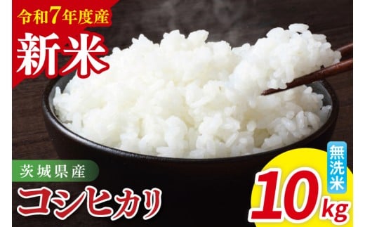 【先行予約】令和7年産 茨城県産コシヒカリ　無洗米　10kg（5kg×2）【お米 米 こしひかり ごはん 茨城県】（85-15）